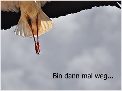 Ferienabwesenheit einrichten